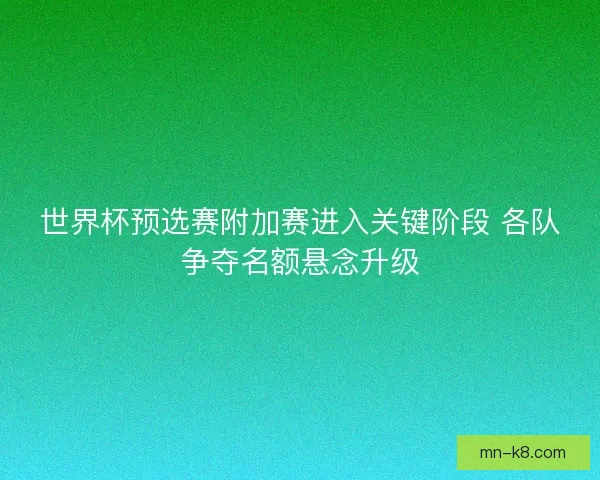 世界杯预选赛附加赛进入关键阶段 各队争夺名额悬念升级